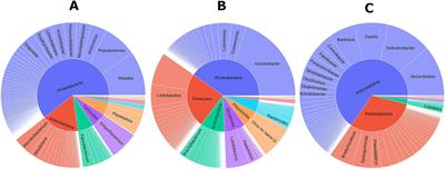 Comparative metagenomics of microbial communities and resistome in southern farming systems: implications for antimicrobial stewardship and public health